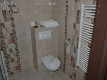 Pensiunea Sophia - accommodation in  Comanesti (40)