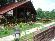 Vila Alisa - accommodation in  Rucar - Bran, Moeciu, Bran (02)