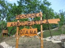 Pensiunea agroturistica Diana - alloggio in  Valea Buzaului (02)