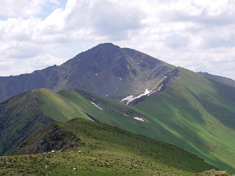 Pensiunea Perla Padurii - accommodation in  Bistrita (Surrounding)