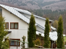 Cabanele Trei Ursuleti - alloggio in  Valea Doftanei (03)