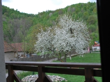 Cabana Molidul - cazare Apuseni, Valea Draganului (36)