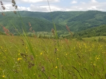 Cabana Molidul - cazare Apuseni, Valea Draganului (38)