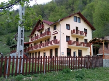 Rural accommodation at  Pensiunea Georgiana