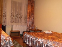 Pensiunea Georgiana - accommodation in  Apuseni Mountains (05)