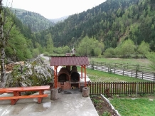 Pensiunea Georgiana - accommodation in  Apuseni Mountains (10)