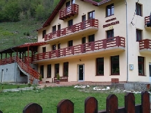 Pensiunea Georgiana - accommodation in  Apuseni Mountains (13)