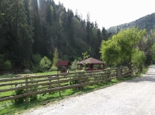 Pensiunea Georgiana - accommodation in  Apuseni Mountains (15)