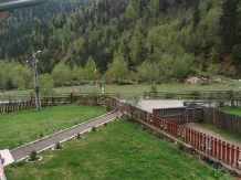 Pensiunea Georgiana - accommodation in  Apuseni Mountains (16)