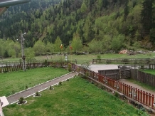Pensiunea Georgiana - cazare Apuseni (16)