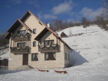 Pensiunea Poienita - accommodation in  Apuseni Mountains, Motilor Country, Arieseni (07)