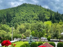 Pensiunea Poienita - accommodation in  Apuseni Mountains, Motilor Country, Arieseni (18)