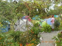 Camping Casuta Mihaela - accommodation in  Danube Delta (21)