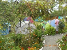 Camping Casuta Mihaela - alloggio in  Delta del Danubio (21)