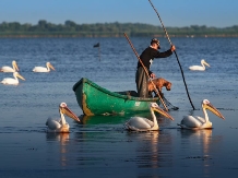 Camping Casuta Mihaela - alloggio in  Delta del Danubio (28)