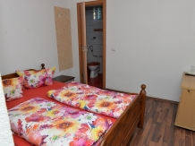 Casa de Vacanta Vaida - accommodation in  Maramures (04)