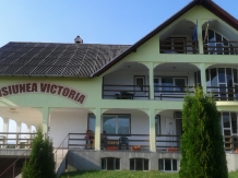 Pensiunea Victoria - alloggio in  Fagaras e vicinanze, Sambata (22)