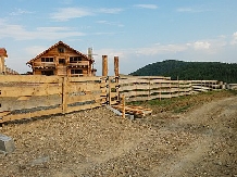 Pensiunea Lacul Zanelor - alloggio in  Valea Buzaului (07)