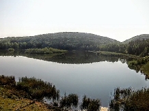 Pensiunea Lacul Zanelor - alloggio in  Valea Buzaului (11)