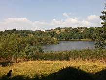 Pensiunea Lacul Zanelor - alloggio in  Valea Buzaului (12)