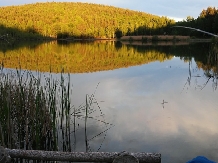 Pensiunea Lacul Zanelor - accommodation in  Buzau Valley (14)