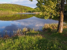 Pensiunea Lacul Zanelor - alloggio in  Valea Buzaului (15)