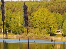 Pensiunea Lacul Zanelor - alloggio in  Valea Buzaului (16)