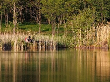 Pensiunea Lacul Zanelor - alloggio in  Valea Buzaului (17)