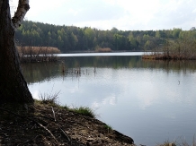 Pensiunea Lacul Zanelor - alloggio in  Valea Buzaului (21)