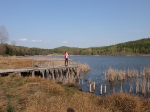 Pensiunea Lacul Zanelor - alloggio in  Valea Buzaului (23)