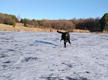 Pensiunea Lacul Zanelor - alloggio in  Valea Buzaului (33)