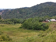 Pensiunea Lacul Zanelor - alloggio in  Valea Buzaului (37)