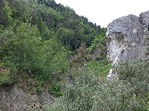 Pensiunea Lacul Zanelor - alloggio in  Valea Buzaului (39)