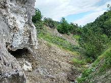 Pensiunea Lacul Zanelor - alloggio in  Valea Buzaului (44)