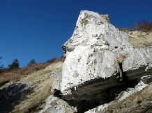 Pensiunea Lacul Zanelor - alloggio in  Valea Buzaului (47)