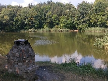 Pensiunea Lacul Zanelor - alloggio in  Valea Buzaului (57)