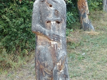 Pensiunea Lacul Zanelor - alloggio in  Valea Buzaului (62)