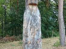 Pensiunea Lacul Zanelor - alloggio in  Valea Buzaului (66)