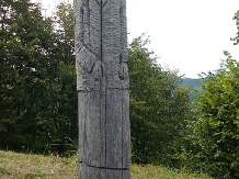 Pensiunea Lacul Zanelor - alloggio in  Valea Buzaului (71)