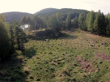 Pensiunea Lacul Zanelor - alloggio in  Valea Buzaului (75)