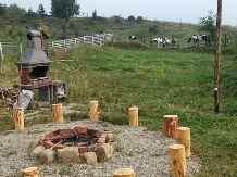 Pensiunea Lacul Zanelor - cazare Valea Buzaului (86)