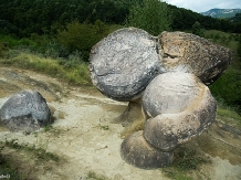 Pensiunea Lacul Zanelor - alloggio in  Valea Buzaului (114)