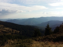 Pensiunea Lacul Zanelor - alloggio in  Valea Buzaului (115)