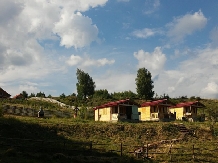 Pensiunea Lacul Zanelor - alloggio in  Valea Buzaului (119)