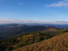 Pensiunea Lacul Zanelor - cazare Valea Buzaului (125)