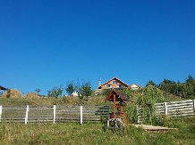 Pensiunea Lacul Zanelor - alloggio in  Valea Buzaului (130)