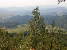 Pensiunea Lacul Zanelor - alloggio in  Valea Buzaului (140)