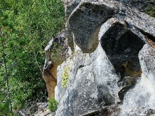 Pensiunea Lacul Zanelor - alloggio in  Valea Buzaului (145)