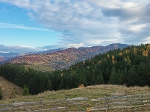 Pensiunea Lacul Zanelor - alloggio in  Valea Buzaului (153)