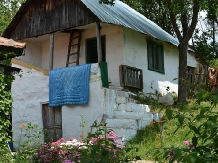 Pensiunea Lacul Zanelor - accommodation in  Buzau Valley (157)